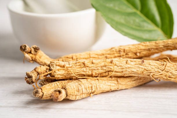 ginseng